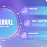 Weibull Integration with other Reliability tools