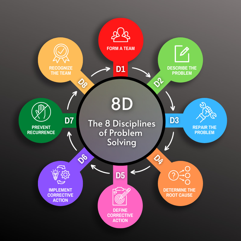 8D Process Infographic