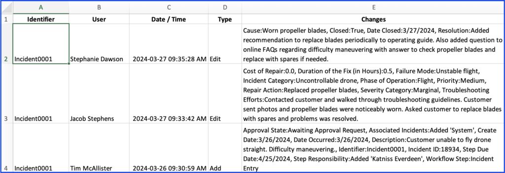 Example Audit Report
